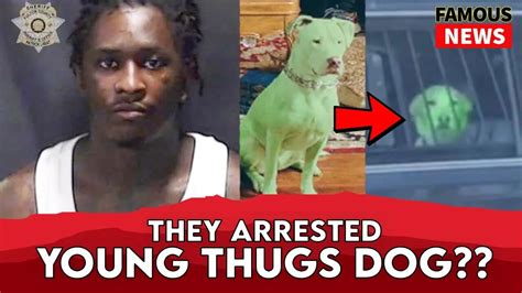 ysl dog green arrested|Young Thug and Gunna Indicted on Racketeering Charges.